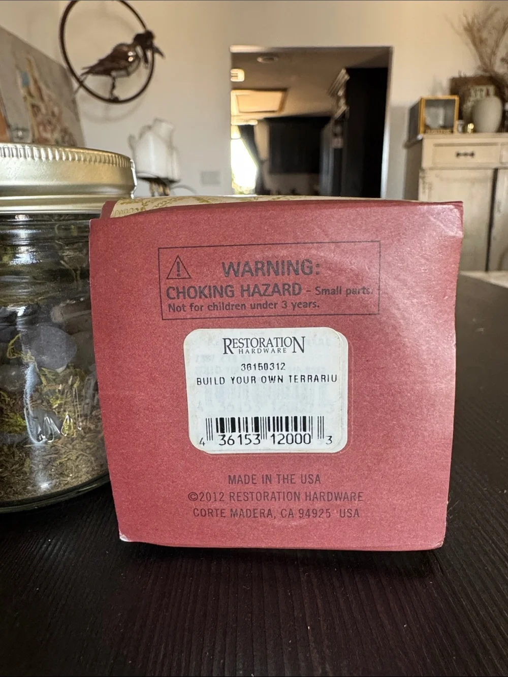 NWT Restoration Hardware Tiny Terrarium Kit